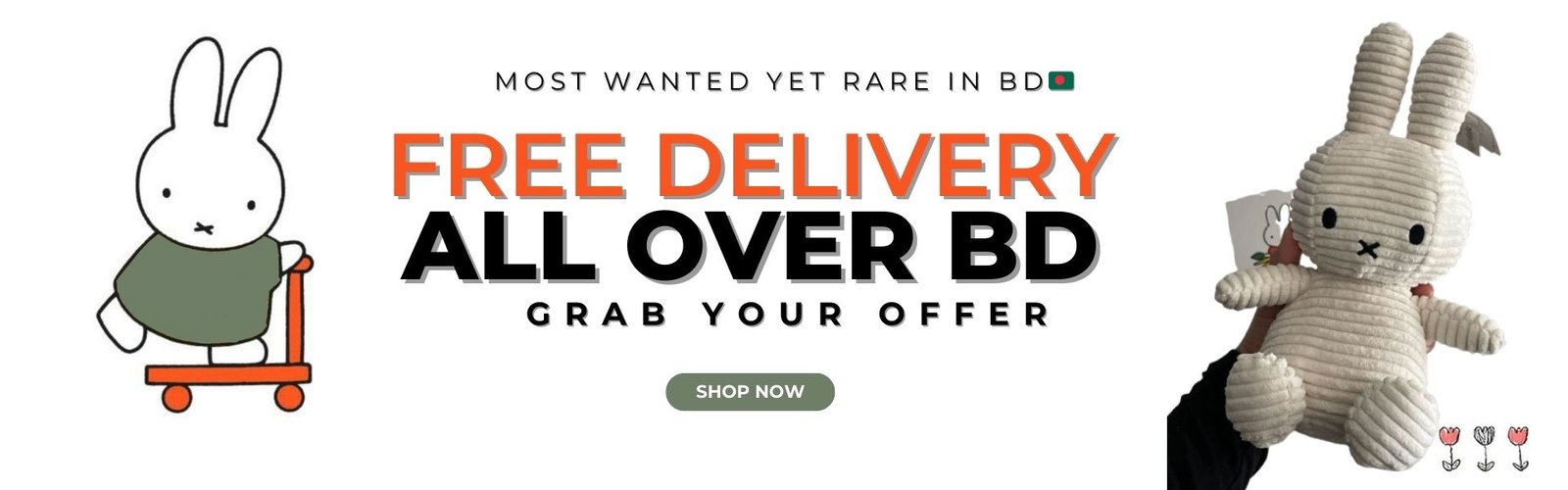 free shipping slider desktop